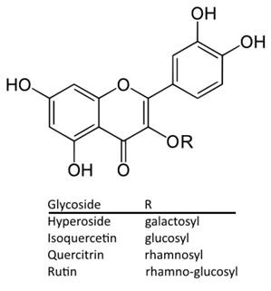 Infertility Treatment Procedure Codes